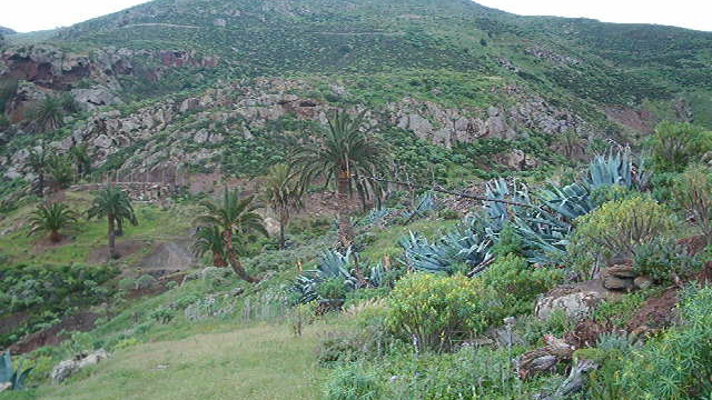 Palomar or Las Majadillas ravine