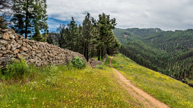 Camino de Santiago de Gran Canaria (S-54)