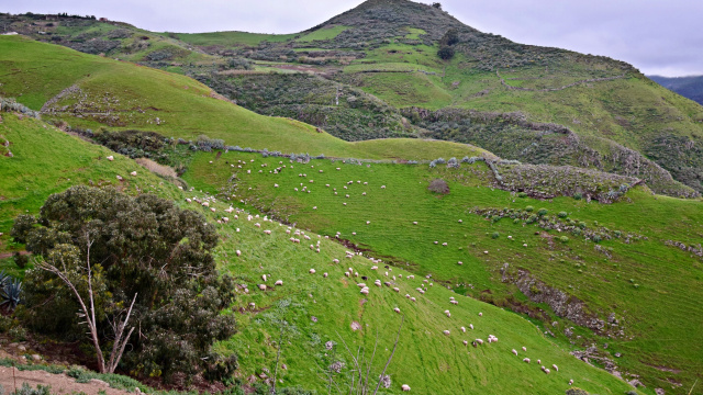 Caideros - Altos de Gáldar